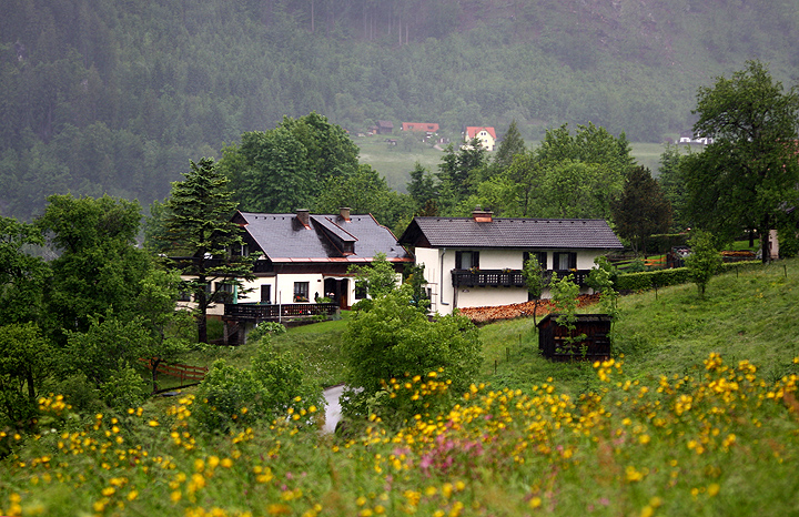 Натиснете снимката за да я уголемите

Име:IMG_8080_1.jpg
Прегледи:1
Размер:317.9 КБ
ID:5184385