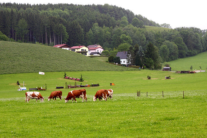 Натиснете снимката за да я уголемите

Име:IMG_8073_1.jpg
Прегледи:1
Размер:314.7 КБ
ID:5184392