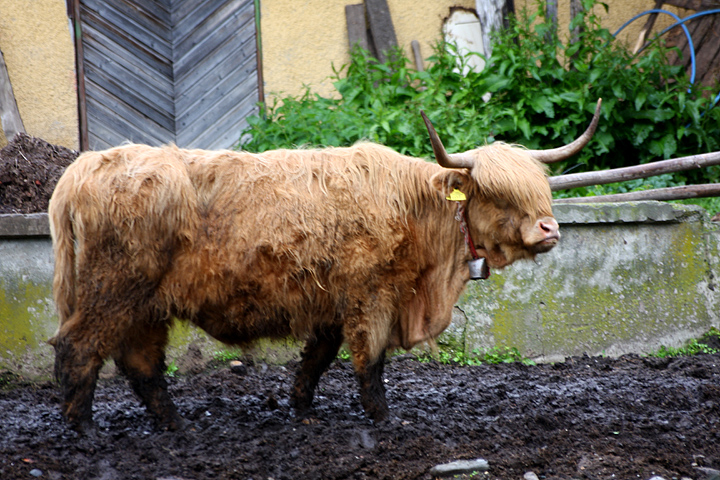 Натиснете снимката за да я уголемите

Име:IMG_8075_1.jpg
Прегледи:1
Размер:279.1 КБ
ID:5184393