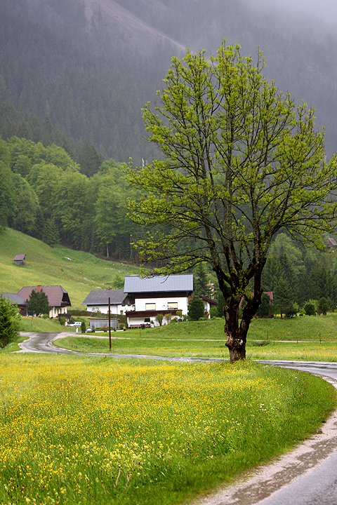 Натиснете снимката за да я уголемите

Име:IMG_8065_1.jpg
Прегледи:1
Размер:361.0 КБ
ID:5184394