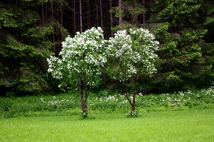 Натиснете снимката за да я уголемите

Име:IMG_8059_1.jpg
Прегледи:1
Размер:422.9 КБ
ID:5184399