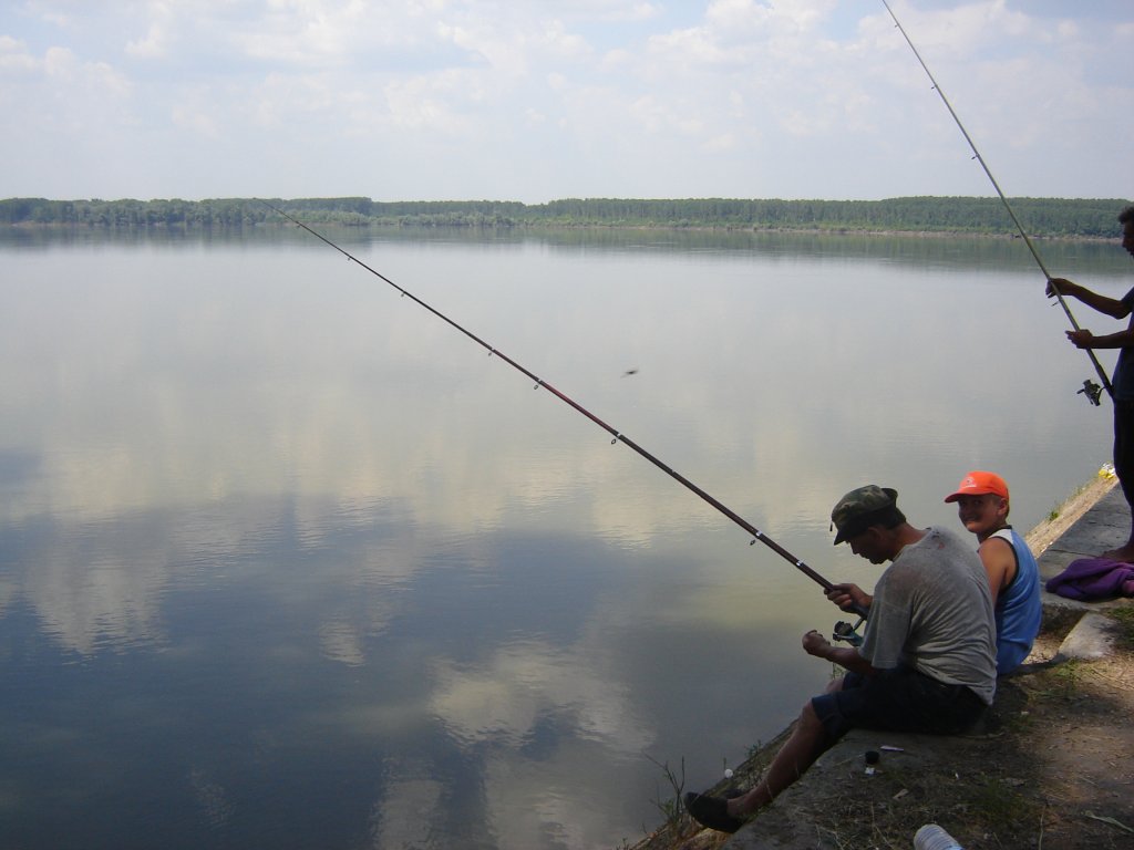 Натиснете снимката за да я уголемите

Име:DSC00116.jpg
Прегледи:1
Размер:79.6 КБ
ID:5195886