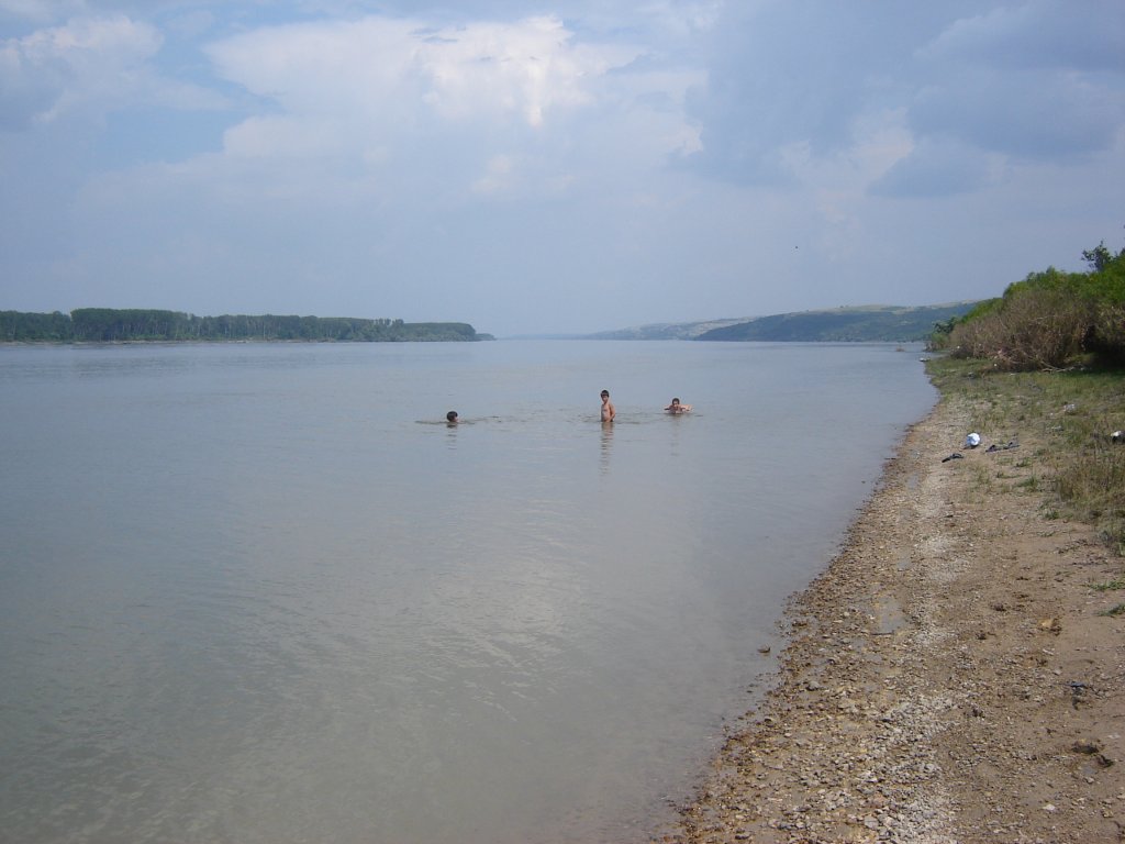 Натиснете снимката за да я уголемите

Име:DSC00123.jpg
Прегледи:1
Размер:95.5 КБ
ID:5195893