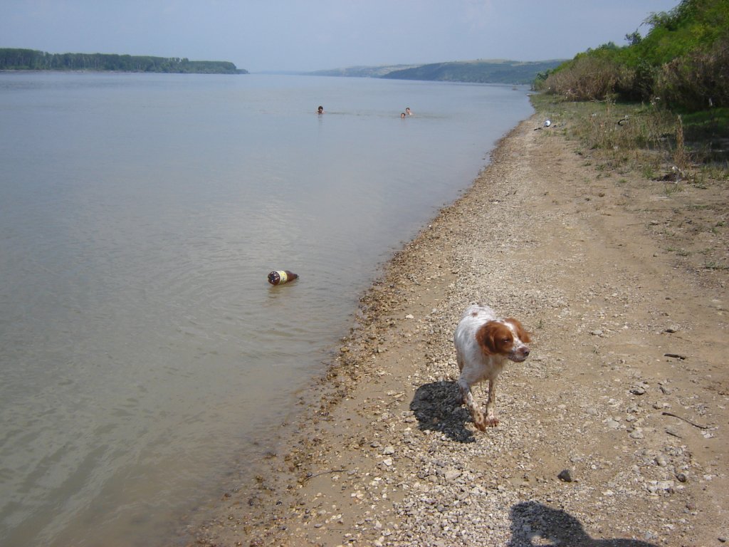 Натиснете снимката за да я уголемите

Име:DSC00122.jpg
Прегледи:1
Размер:148.2 КБ
ID:5195894