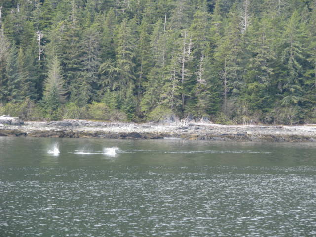 Натиснете снимката за да я уголемите

Име:019557071.jpg
Прегледи:1
Размер:71.6 КБ
ID:5197625