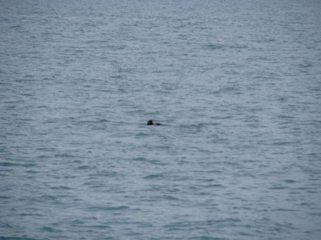 Натиснете снимката за да я уголемите

Име:019557091.jpg
Прегледи:1
Размер:42.8 КБ
ID:5197632