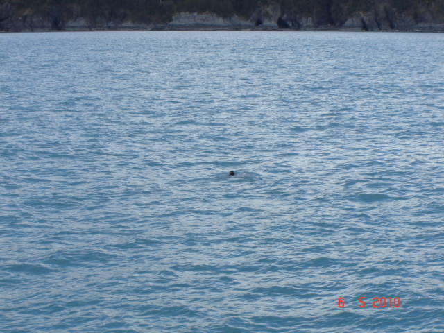 Натиснете снимката за да я уголемите

Име:019882752.jpg
Прегледи:1
Размер:71.8 КБ
ID:5197635