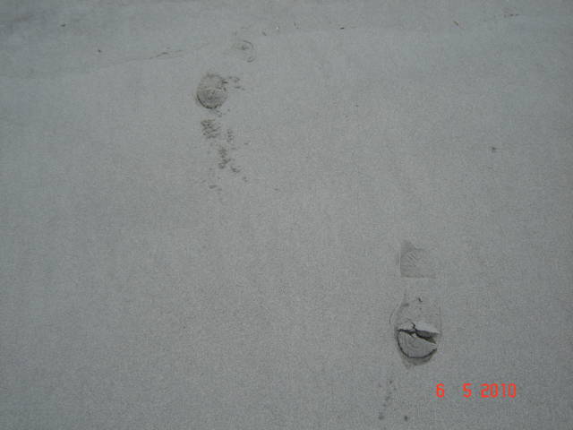 Натиснете снимката за да я уголемите

Име:019882766.jpg
Прегледи:1
Размер:30.9 КБ
ID:5197653