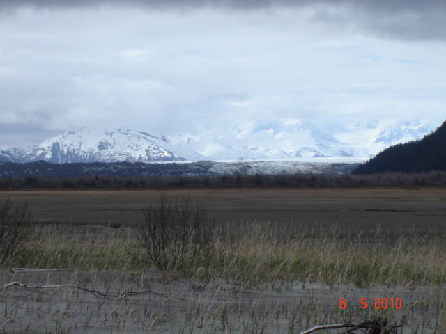 Натиснете снимката за да я уголемите

Име:019882768.jpg
Прегледи:1
Размер:38.9 КБ
ID:5197655