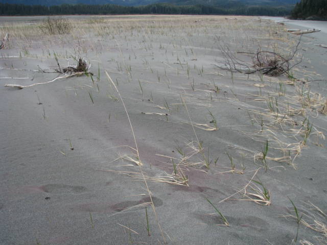 Натиснете снимката за да я уголемите

Име:019557115.jpg
Прегледи:1
Размер:47.2 КБ
ID:5197656