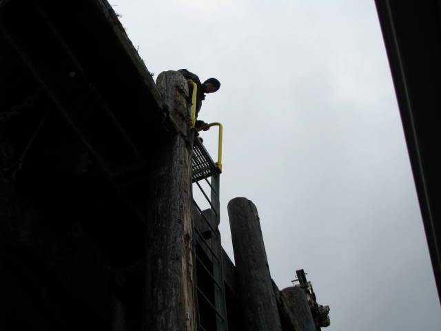 Натиснете снимката за да я уголемите

Име:019557241.jpg
Прегледи:1
Размер:24.1 КБ
ID:5200767