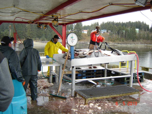 Натиснете снимката за да я уголемите

Име:019882796.jpg
Прегледи:1
Размер:82.5 КБ
ID:5200771