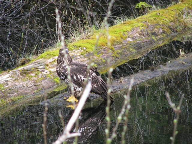Натиснете снимката за да я уголемите

Име:019557265.jpg
Прегледи:1
Размер:82.1 КБ
ID:5200783