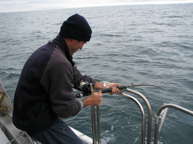 Натиснете снимката за да я уголемите

Име:019557276.jpg
Прегледи:1
Размер:50.1 КБ
ID:5200784