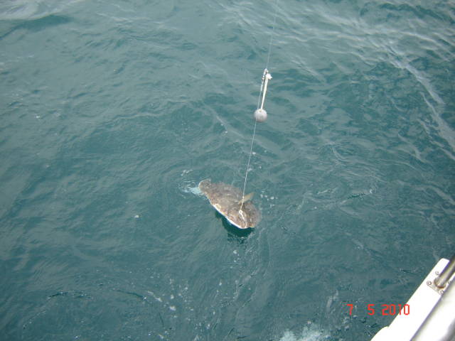 Натиснете снимката за да я уголемите

Име:020113209.jpg
Прегледи:1
Размер:48.7 КБ
ID:5200795