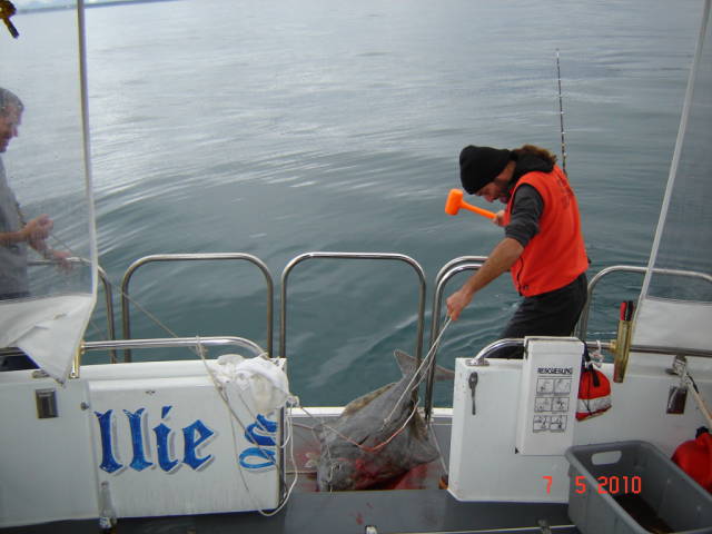 Натиснете снимката за да я уголемите

Име:020113222.jpg
Прегледи:1
Размер:50.9 КБ
ID:5200796