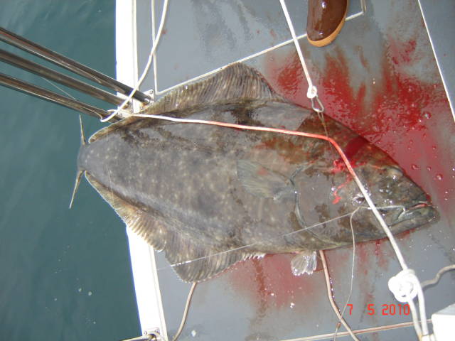 Натиснете снимката за да я уголемите

Име:020113225.jpg
Прегледи:1
Размер:56.1 КБ
ID:5200797