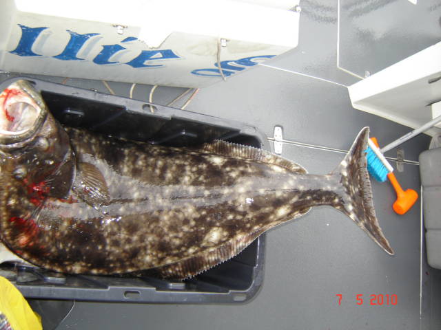 Натиснете снимката за да я уголемите

Име:020113229.jpg
Прегледи:1
Размер:59.1 КБ
ID:5200800