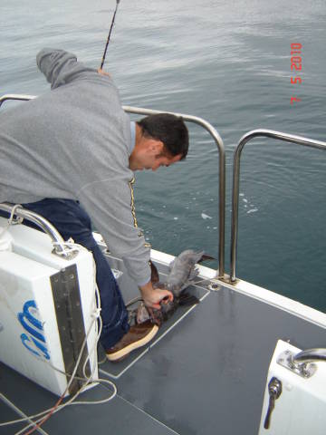 Натиснете снимката за да я уголемите

Име:020113234.jpg
Прегледи:1
Размер:31.7 КБ
ID:5200801