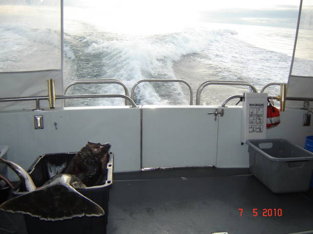 Натиснете снимката за да я уголемите

Име:020113240.jpg
Прегледи:1
Размер:44.3 КБ
ID:5200803