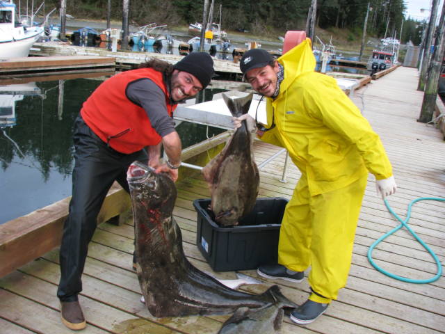 Натиснете снимката за да я уголемите

Име:019557292.jpg
Прегледи:1
Размер:69.8 КБ
ID:5200805