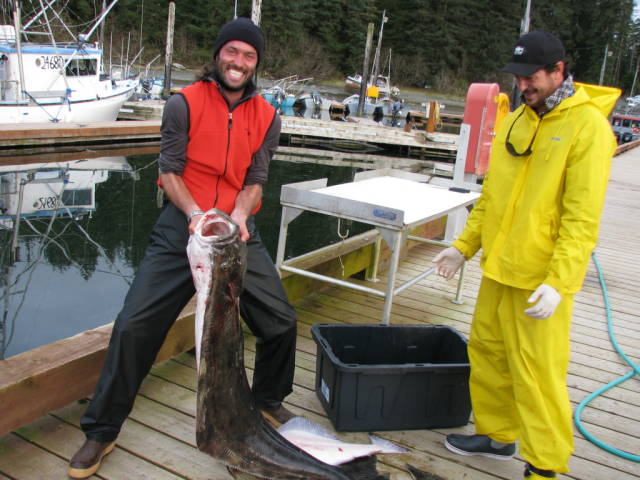 Натиснете снимката за да я уголемите

Име:019557295.jpg
Прегледи:1
Размер:68.9 КБ
ID:5200806