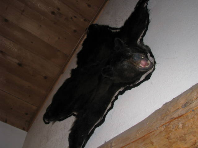 Натиснете снимката за да я уголемите

Име:019557299.jpg
Прегледи:1
Размер:31.7 КБ
ID:5200809