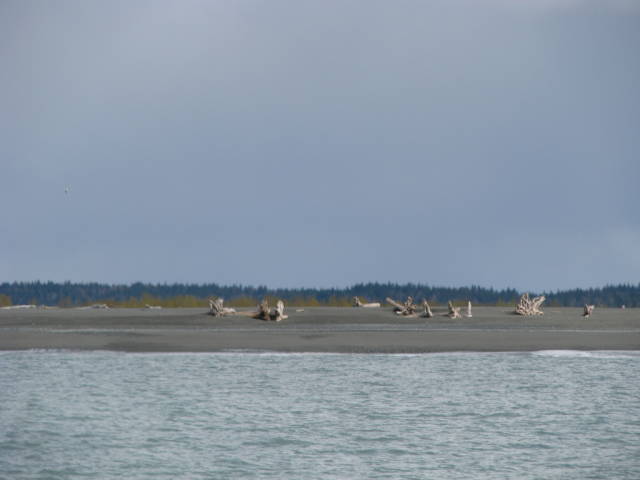 Натиснете снимката за да я уголемите

Име:019557308.jpg
Прегледи:1
Размер:27.2 КБ
ID:5200816