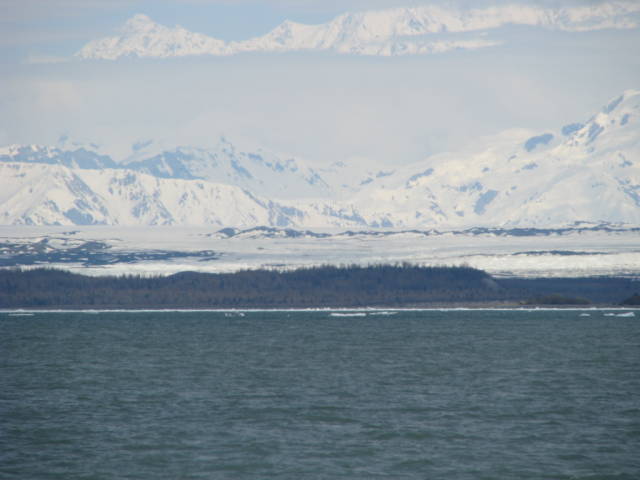 Натиснете снимката за да я уголемите

Име:019557310.jpg
Прегледи:1
Размер:37.0 КБ
ID:5200817