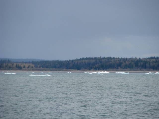 Натиснете снимката за да я уголемите

Име:019557316.jpg
Прегледи:1
Размер:30.4 КБ
ID:5200820