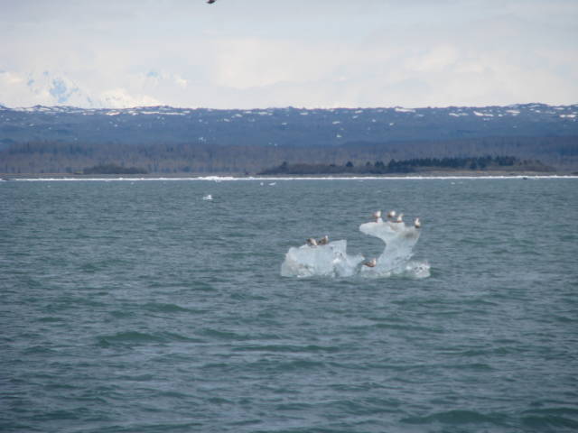 Натиснете снимката за да я уголемите

Име:019557317.jpg
Прегледи:1
Размер:39.0 КБ
ID:5200821