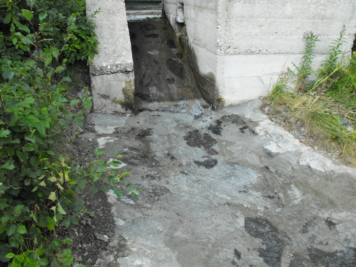 Натиснете снимката за да я уголемите

Име:Picture 298.jpg
Прегледи:1
Размер:207.6 КБ
ID:5203817