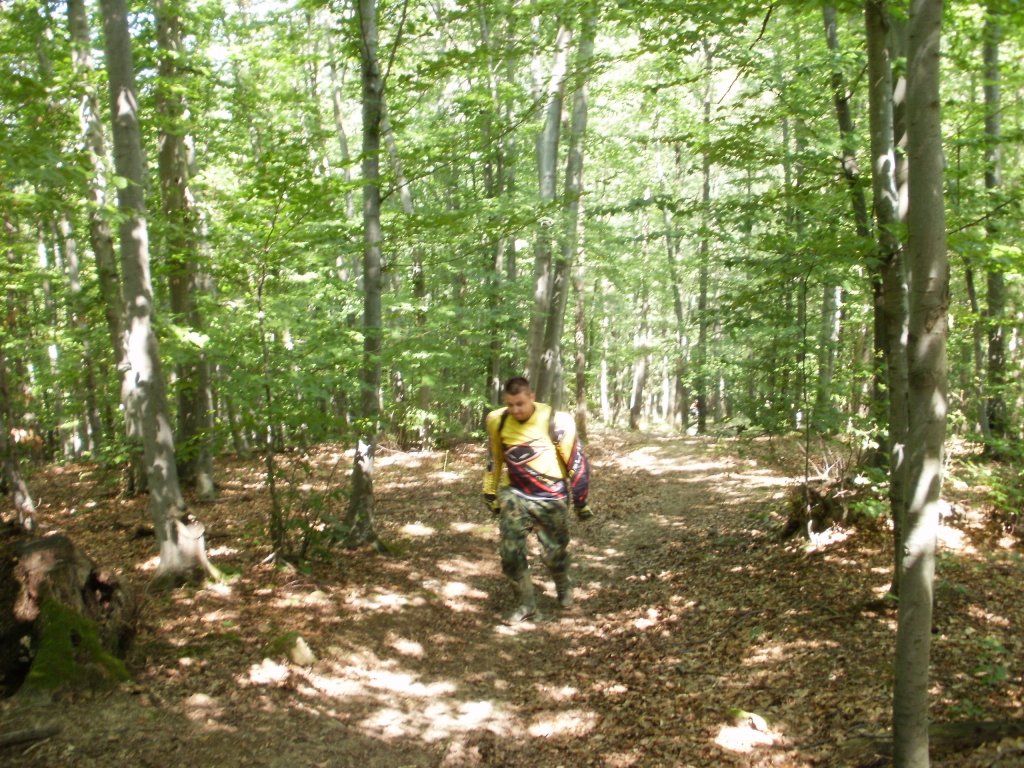 Натиснете снимката за да я уголемите

Име:P8100157.jpg
Прегледи:2
Размер:251.5 КБ
ID:5205437