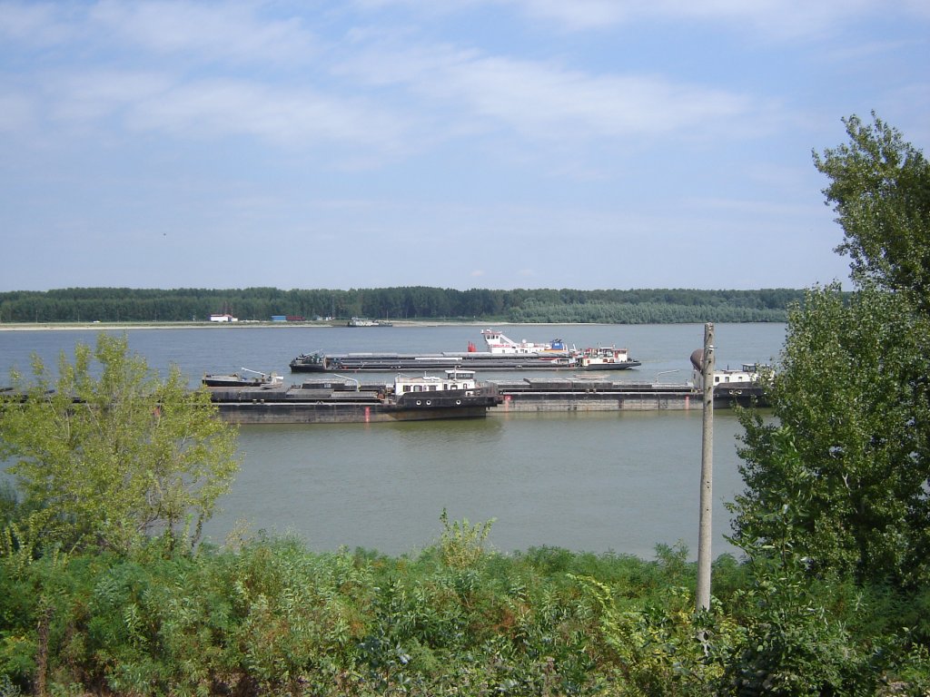 Натиснете снимката за да я уголемите

Име:DSC00017.jpg
Прегледи:1
Размер:166.6 КБ
ID:5205071