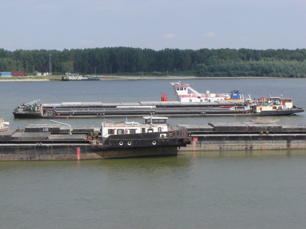 Натиснете снимката за да я уголемите

Име:DSC00018.jpg
Прегледи:1
Размер:108.9 КБ
ID:5205072