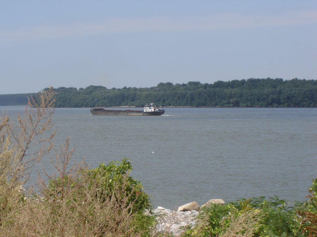 Натиснете снимката за да я уголемите

Име:DSC00022.jpg
Прегледи:1
Размер:119.1 КБ
ID:5205074