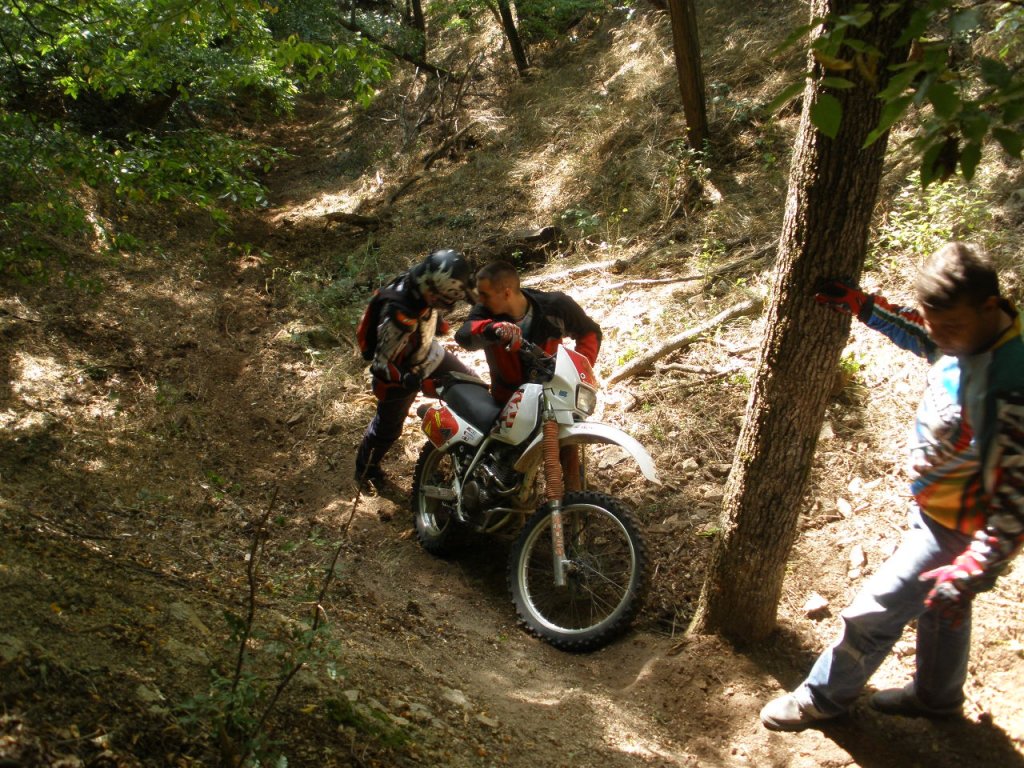 Натиснете снимката за да я уголемите

Име:P9040028.jpg
Прегледи:1
Размер:253.1 КБ
ID:5205525