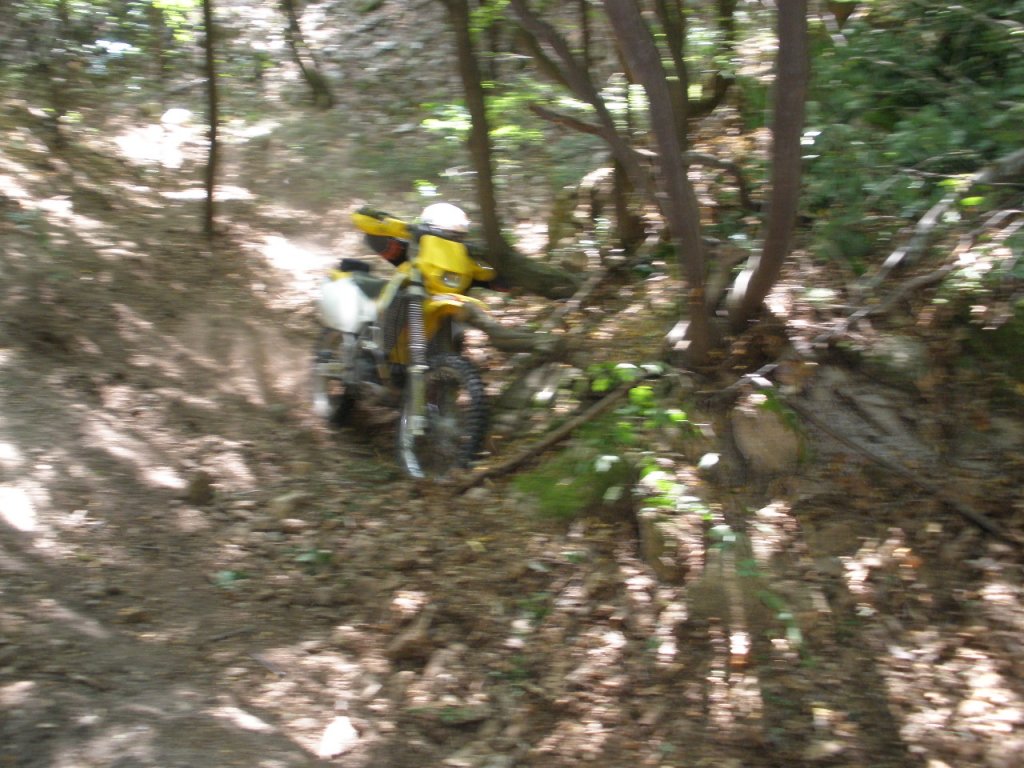 Натиснете снимката за да я уголемите

Име:P9040033.jpg
Прегледи:1
Размер:165.0 КБ
ID:5205528