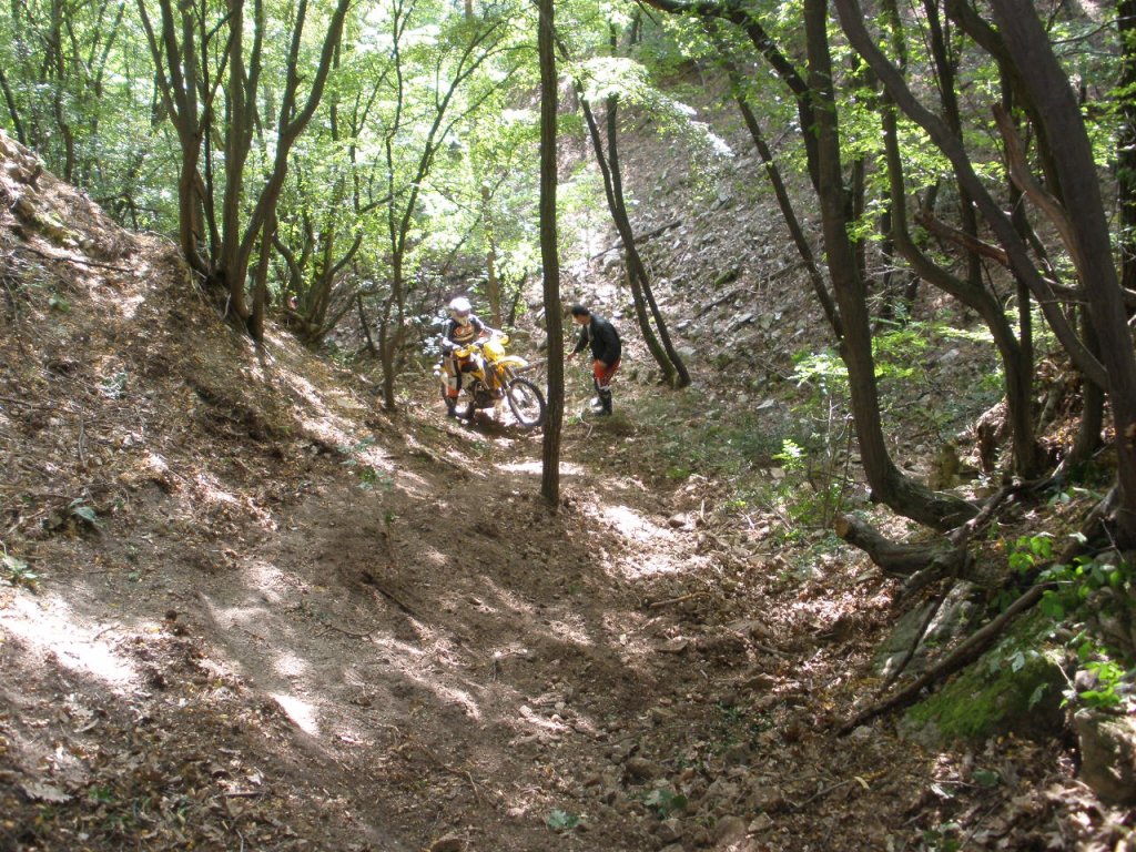 Натиснете снимката за да я уголемите

Име:P9040035.jpg
Прегледи:1
Размер:287.4 КБ
ID:5205529