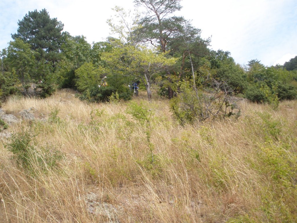 Натиснете снимката за да я уголемите

Име:P9040054.jpg
Прегледи:1
Размер:239.5 КБ
ID:5205570