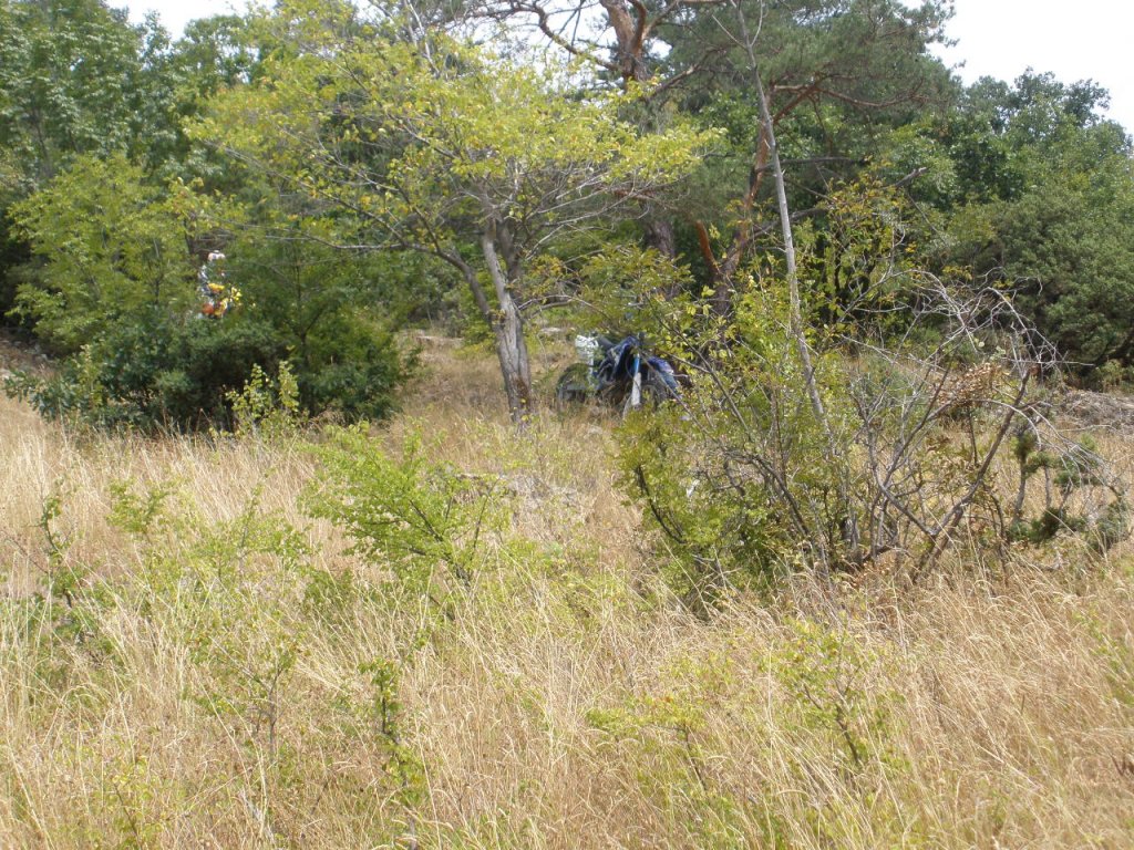 Натиснете снимката за да я уголемите

Име:P9040055.jpg
Прегледи:1
Размер:288.3 КБ
ID:5205571