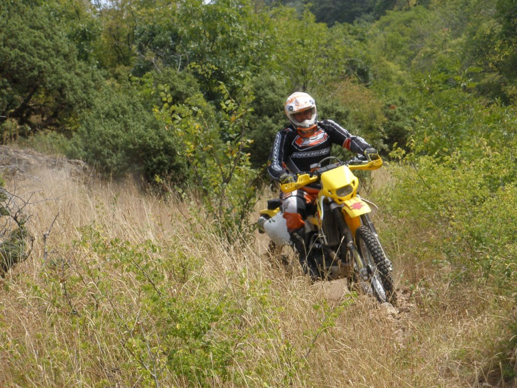 Натиснете снимката за да я уголемите

Име:P9040056.jpg
Прегледи:1
Размер:246.1 КБ
ID:5205572