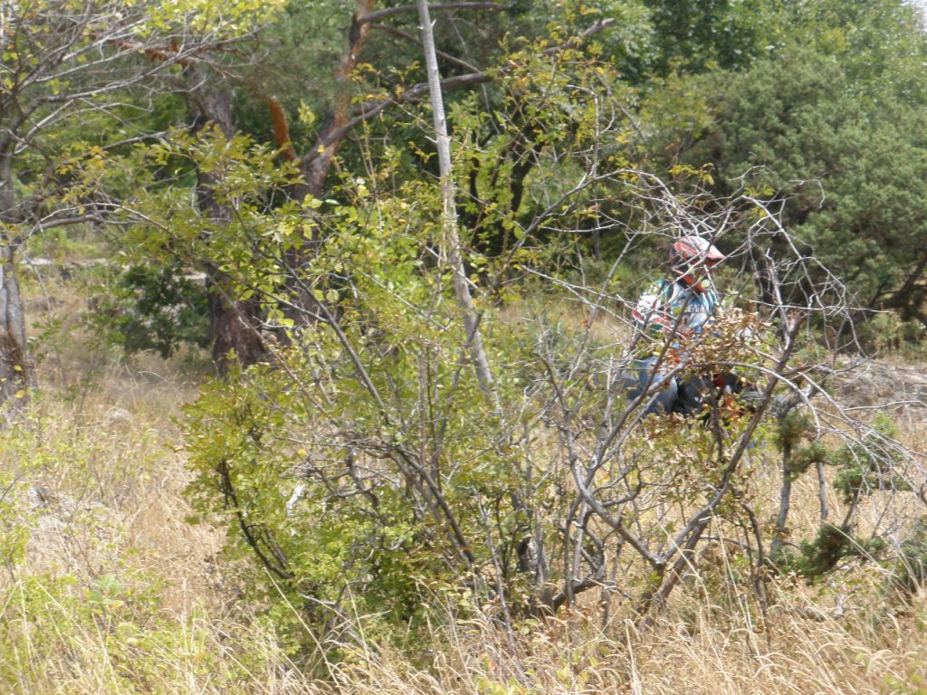 Натиснете снимката за да я уголемите

Име:P9040057.jpg
Прегледи:1
Размер:258.5 КБ
ID:5205573