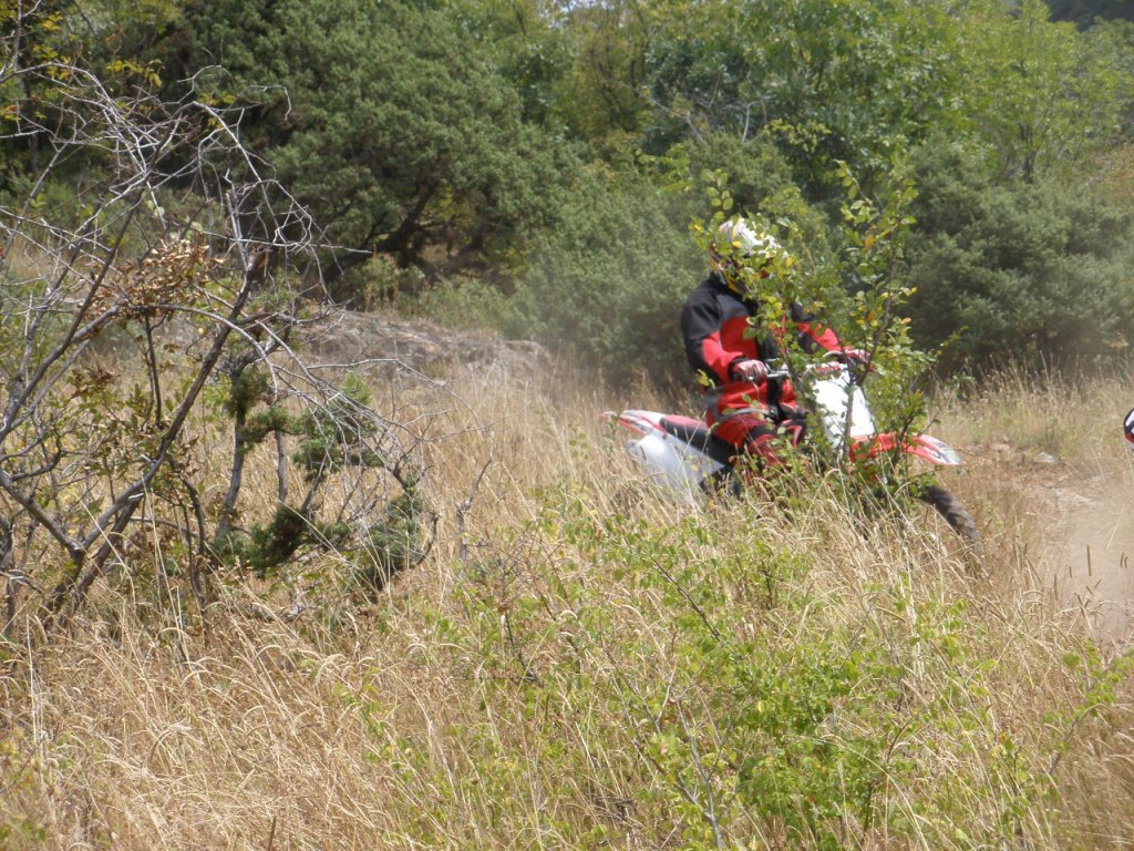 Натиснете снимката за да я уголемите

Име:P9040058.jpg
Прегледи:1
Размер:263.9 КБ
ID:5205574