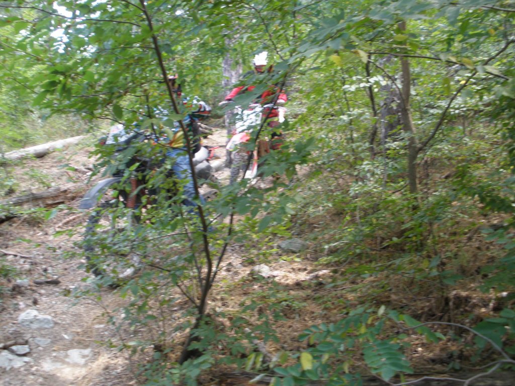 Натиснете снимката за да я уголемите

Име:P9040060.jpg
Прегледи:1
Размер:206.3 КБ
ID:5205576