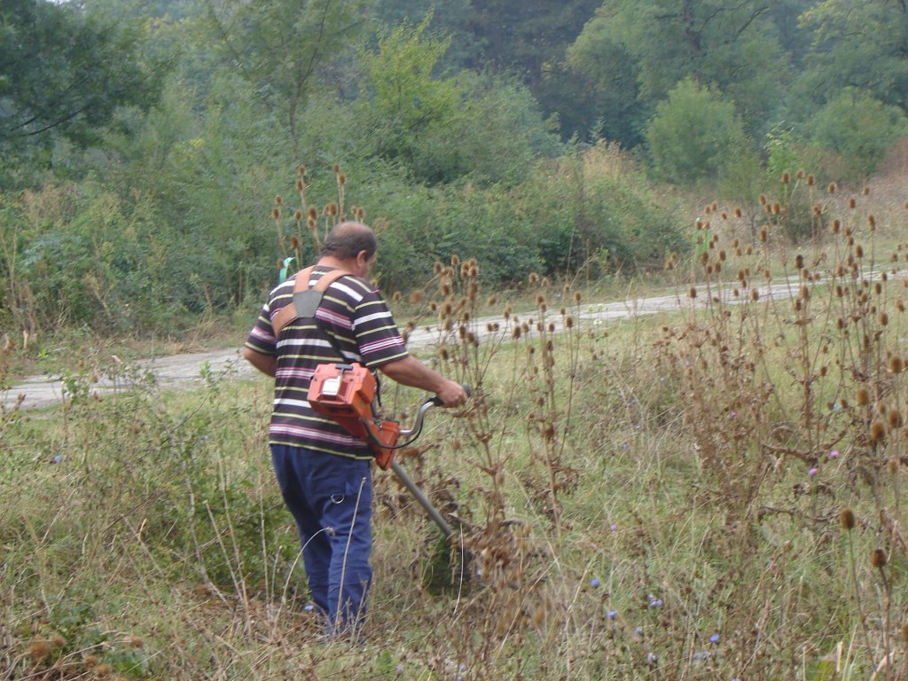 Натиснете снимката за да я уголемите

Име:DSC00091.jpg
Прегледи:2
Размер:205.3 КБ
ID:5205697
