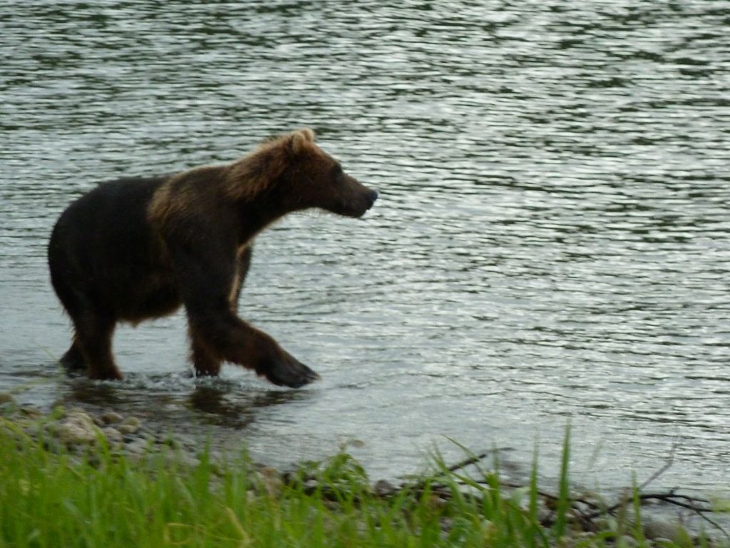 Натиснете снимката за да я уголемите

Име:P1000448.JPG
Прегледи:1
Размер:159.7 КБ
ID:5212278