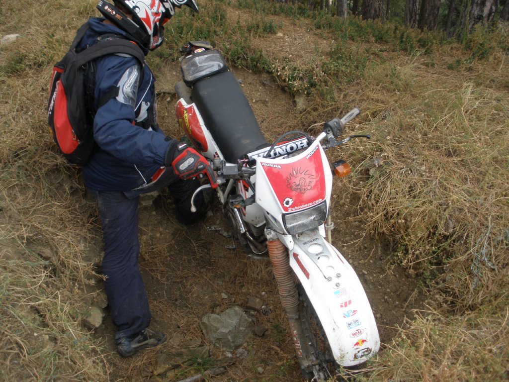 Натиснете снимката за да я уголемите

Име:P9120086.jpg
Прегледи:1
Размер:207.8 КБ
ID:5212552