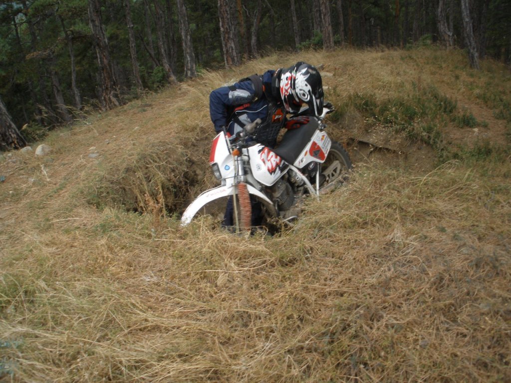 Натиснете снимката за да я уголемите

Име:P9120085.jpg
Прегледи:1
Размер:191.4 КБ
ID:5212558