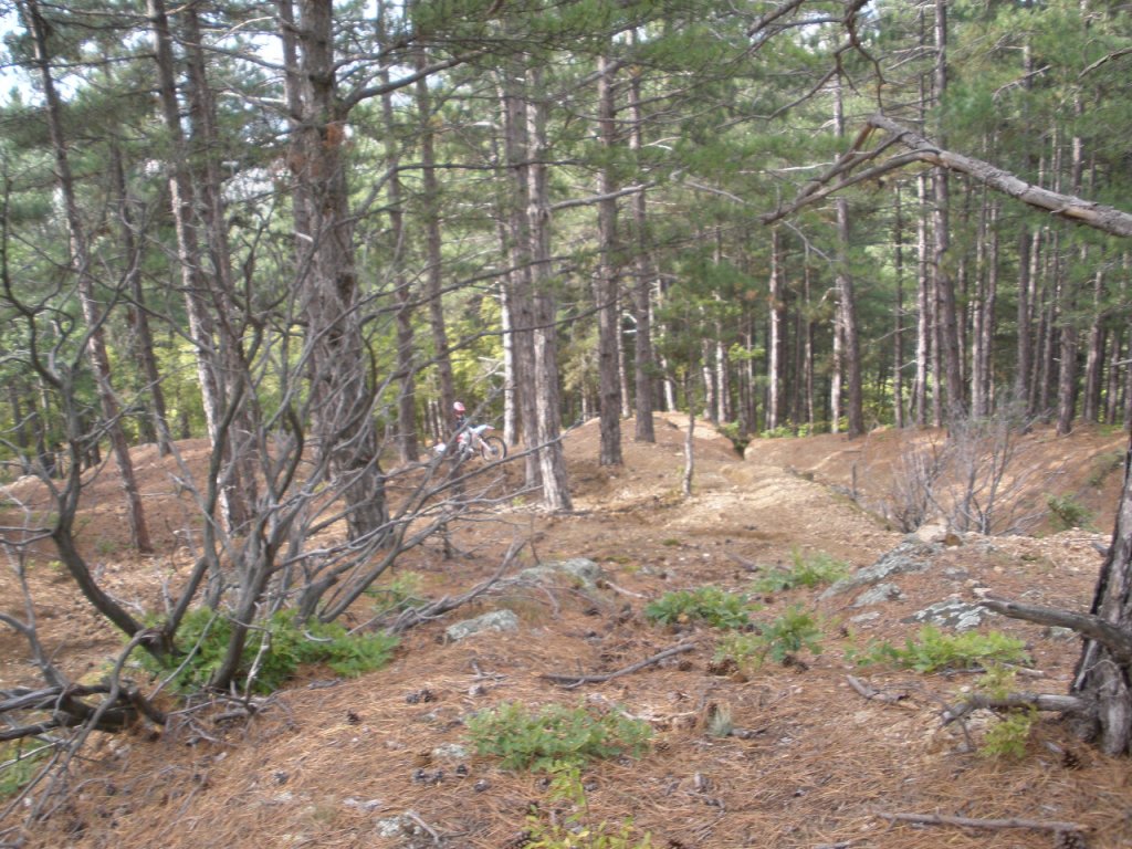Натиснете снимката за да я уголемите

Име:PA020001.jpg
Прегледи:1
Размер:213.4 КБ
ID:5213915